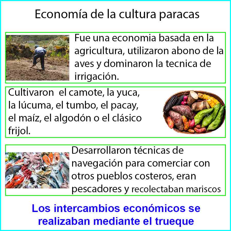 aspecto economico de la cultura paracas
