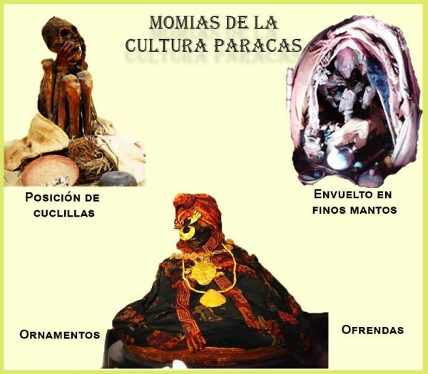 momia de la cultura paracas